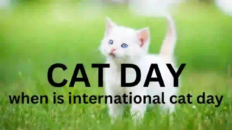 when is international cat day. HISTORY OF INTERNATIONAL